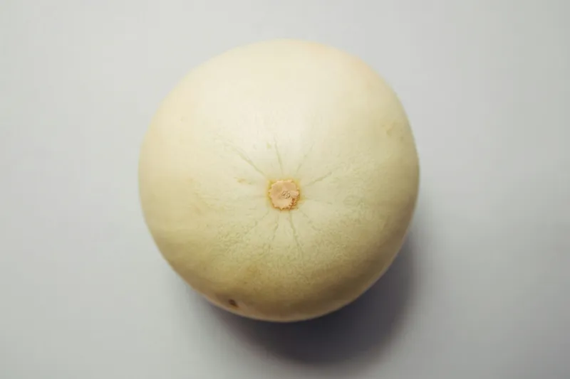 Melón