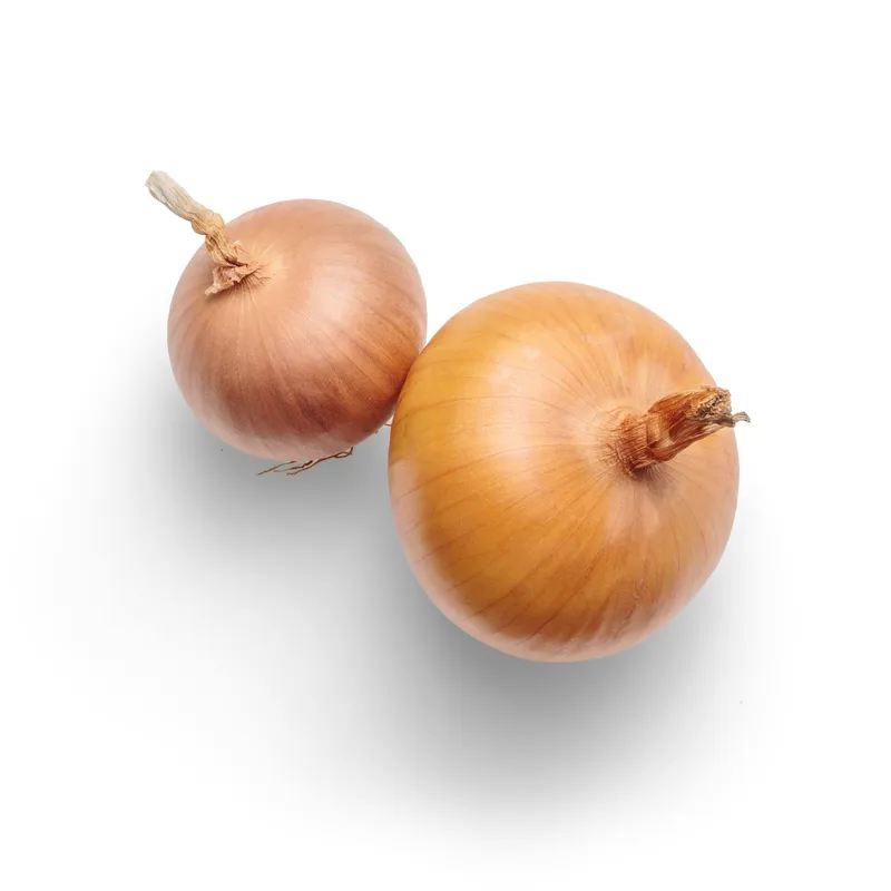 Cebolla Blanca