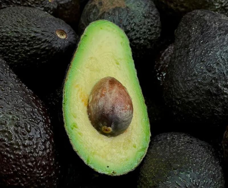 Aguacate